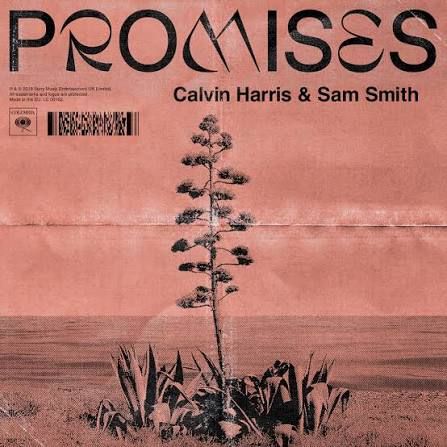 promises.